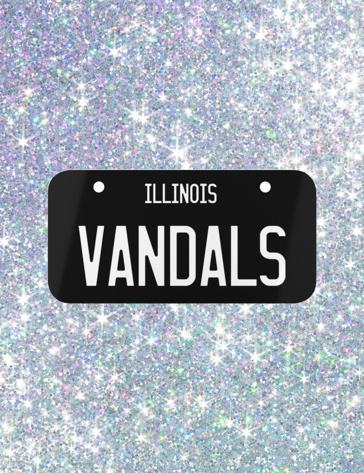 The Bikeriders Mini License Plate